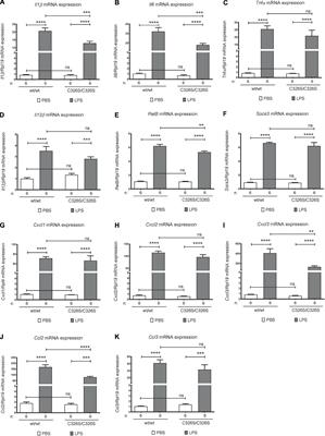 Mild Attenuation of the Pulmonary Inflammatory Response in a Mouse Model of Hereditary Hemochromatosis Type 4